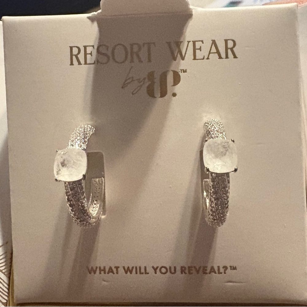 Silver Hoop Earrings